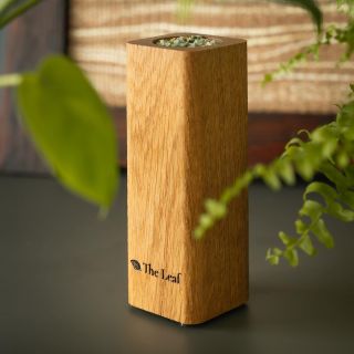 Letní vánek uprostřed domova. 🍃 🌿 Dřevitá vůně s nádechem léta přináší klid, pohodu a svěžest do každého kouta 🏡 #theleaf...